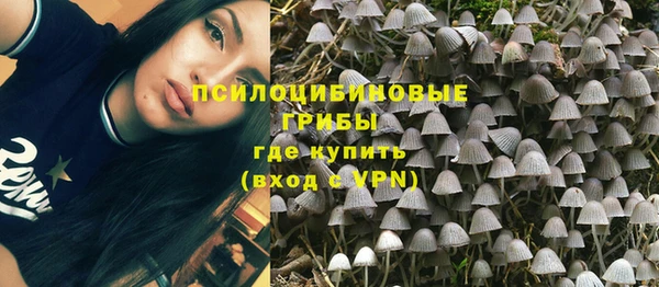 мяу мяу мука Беломорск