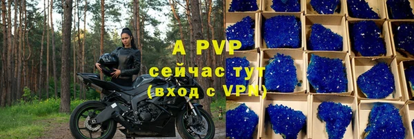 молекула духа Белокуриха