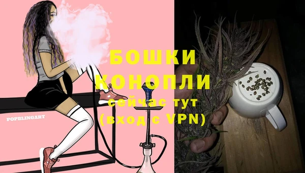 молекула духа Белокуриха