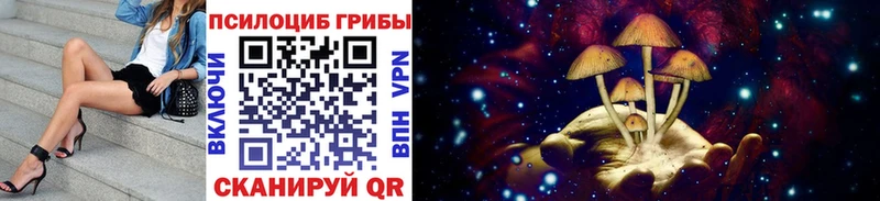 Псилоцибиновые грибы Magic Shrooms  Горячий Ключ 